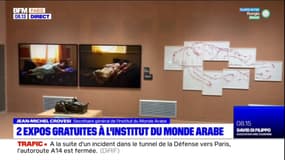 Paris: deux expositions gratuites à l'Institut du Monde Arabe