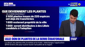 Lille: la ville fait don de 1000 plantes de la serre équatoriale