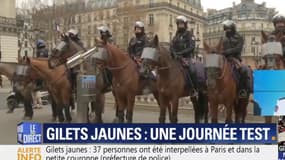 La brigade équestre était mobilisée devant l'Opéra Garnier à Paris le 15 décembre, pour la manifestation des gilets jaunes.