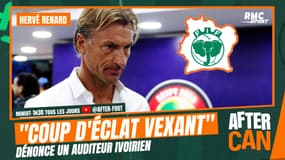 Hervé Renard en Côte d'Ivoire ? "Nostalgie, vexation et coup d'éclat" déplore un supporter