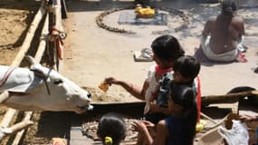 Une femme et des enfants font une offrande à une vache, le 4 avril 2017 à New Delhi