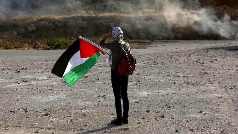 Une manifestante brandit un drapeau palestinien en signe de solidarité à Ofer, en Cisjordanie. L'Assemblée nationale se prononcera, le 2 décembre, sur une proposition de résolution socialiste sur la reconnaissance d'un Etat de Palestine. 