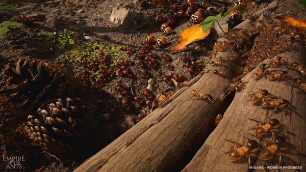 La trilogie "Les Fourmis" prendra vie en jeu vidéo La trilogie "Les Fourmis" prendra vie en jeu vidéo