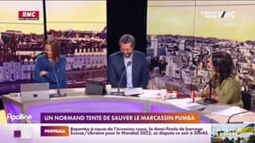 RMC s’engage pour vous : Un Normand tente de sauver le marcassin Pumba - 01/06