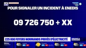 Tempête Ciaran: encore 225.000 foyers privés d'électricité en Normandie