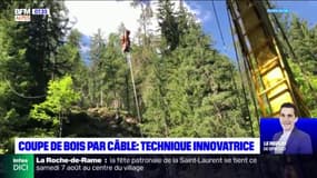 Alpes-de-Haute-Provence: la coupe de bois par câble se développe