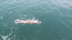 Marion Joffle a battu le record féminin de la traversée de la Manche.