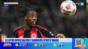 Mercato : le GYM officialise l'arrivée d'Elye Wahi