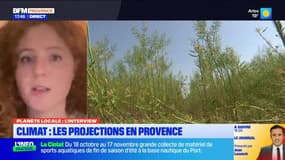 Planète Locale du mercredi 30 octobre - Climat : les projections en Provence