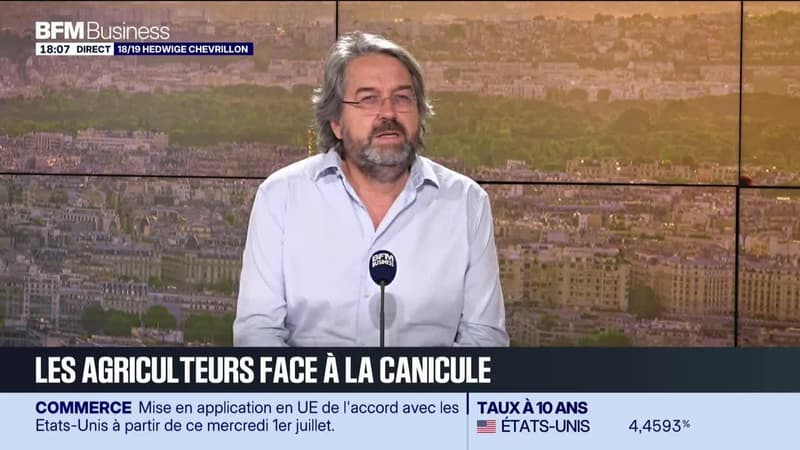 Nicolas Chabanne (C’est qui le Patron) : les agriculteurs face à la canicule - 01/07
