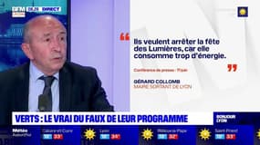 Lyon: le vrai du faux du programme des Verts 