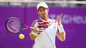 Andy Murray - Queen's