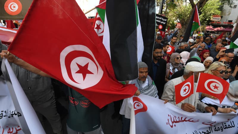 Manifestation en Tunisie, le 12 mai 2024