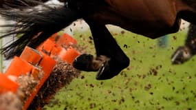 Illustration hippisme