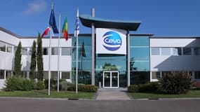 Non coté en Bourse, Ceva a affiché en 2016 un chiffre d'affaires de 912 millions d'euros, en croissance de 10% à périmètre et taux de change constants.