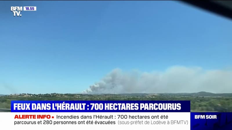 Incendies dans l'Hérault: déjà plus de 600 hectares partis en fumée