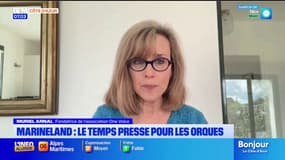 Marineland : le temps presse pour les orques