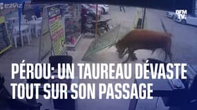 Pérou: un taureau sème la panique dans les rues de Lima et fait un blessé