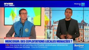 Mercosur: des exploitations du Nord-Pas-de-Calais menacées? 