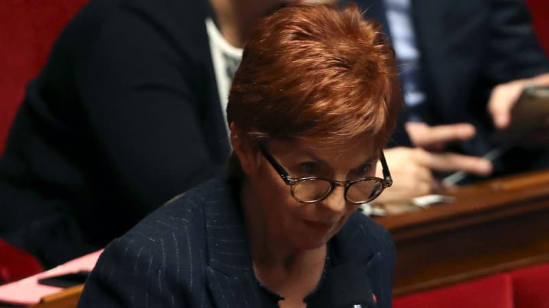 La députée du Var Geneviève Lévy à l'Assemblée.