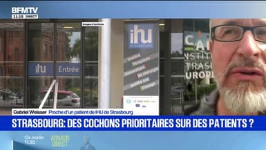 "J'étais scandalisé": à Strasbourg, des cochons prioritaires pour des IRM face à des patients cancéreux