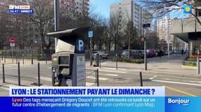 Lyon: le stationnement payant le dimanche et le mois d'août? 