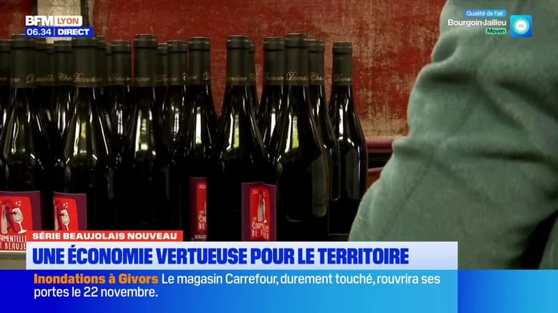 Beaujolais Nouveau: une économie vertueuse pour le territoire