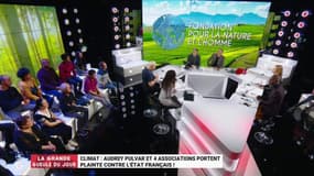 ONG environnementales : "Nous ne sommes pas que des doux rêveurs !"
