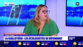 Policiers agressés à Lyon: Gérard Collomb dénonce le silence des écologistes, la maire du 7e arrondissement lui répond