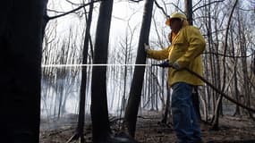 Les pompiers du New Jersey s'efforcent d'éteindre les flammes de l'incendie de Jones Road près de Lacey Township, dans le New Jersey, le 23 avril 2025.