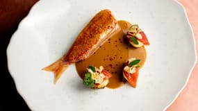 Un plat du chef Tom Meyer, nouvel ambassadeur de l'ONG Ethic Ocean, engagée pour la préservation des ressources marines.