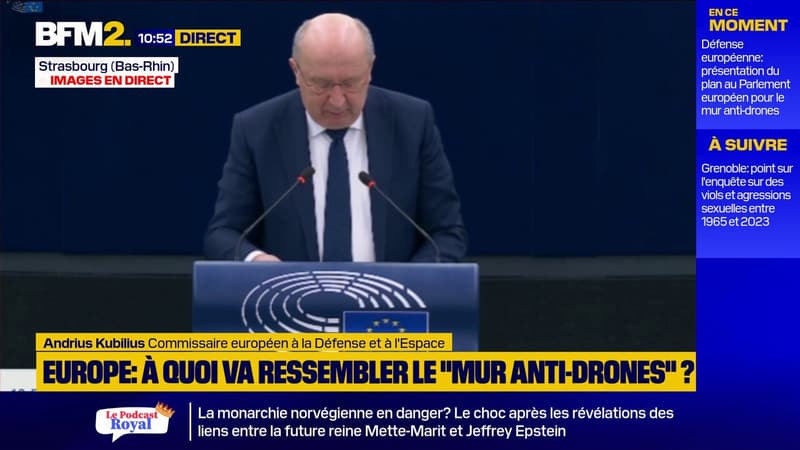 Défense européenne: "Je soutiens l'appel du président Macron à l'industrie" déclare le commissaire européen à la Défense et à l'Espace