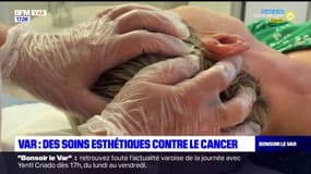 Toulon: des soins esthétiques pour les malades du cancer à l'hôpital Sainte-Musse