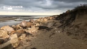 La dune de la plage de Camiers, dans le Pas-de-Calais