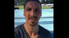 Zlatan 