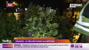 Orages: énormément de branches d'arbres sont tombées dans les rues de Paris