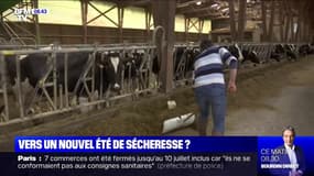 Les agriculteurs craignent un nouvel été de sécheresse