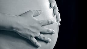 La légalisation de la gestation pour autrui n'est pas à l'ordre du jour en France.