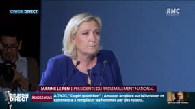 Européennes: Marine Le Pen appelle les "gilets jaunes" à voter pour le RN et renomme la France Insoumise en "France islamiste"
