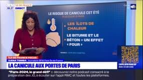 Paris: le risque de mort par canicule le plus élevé en Europe 