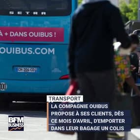 Voyager gratuitement en autocar en transportant des colis