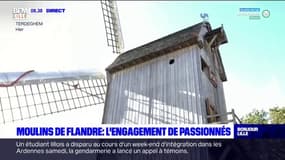 Hauts-de-France: les moulins de Flandre entretenus par des bénévoles