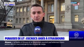 Strasbourg: deux ans de prison dont un avec sursis pour les escrocs aux punaises de lit