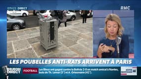 Dupin Quotidien : Les poubelles anti-rats arrivent à Paris - 03/06