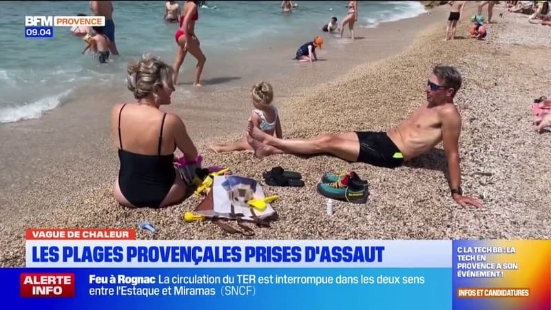 Vague de chaleur en Provence : les plages de Cassis prises d'assaut