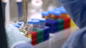 Grâce à cette première mondiale réalisée sur des chiens, les premiers essais sur l'Homme auront lieu d'ici un an.