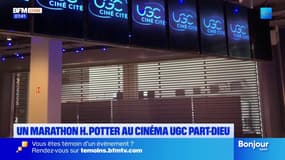 Lyon: un marathon Harry Potter organisé à l'UGC Part-Dieu ce week-end