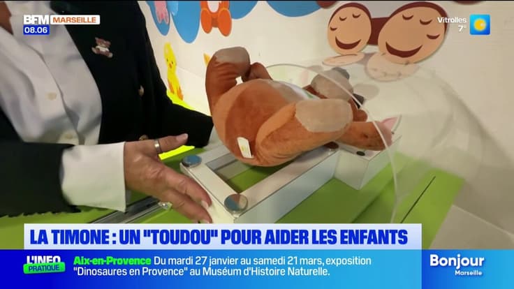 " Toudou " : un hôpital à doudou à la Timone pour aider les enfants