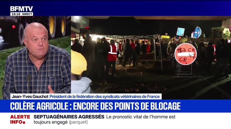 DNC: "Le problème de la dermatose nodulaire contagieuse, ce sont les porteurs asymptomatiques" dans les troupeaux, explique Jean-Yves Gauchot, président de la fédération des syndicats vétérinaires de France