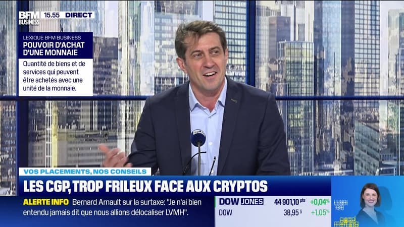 Stéphane Rudzinski (Rhetores Finance) : Faut-il confier ses cryptos à un CGP ? - 31/01